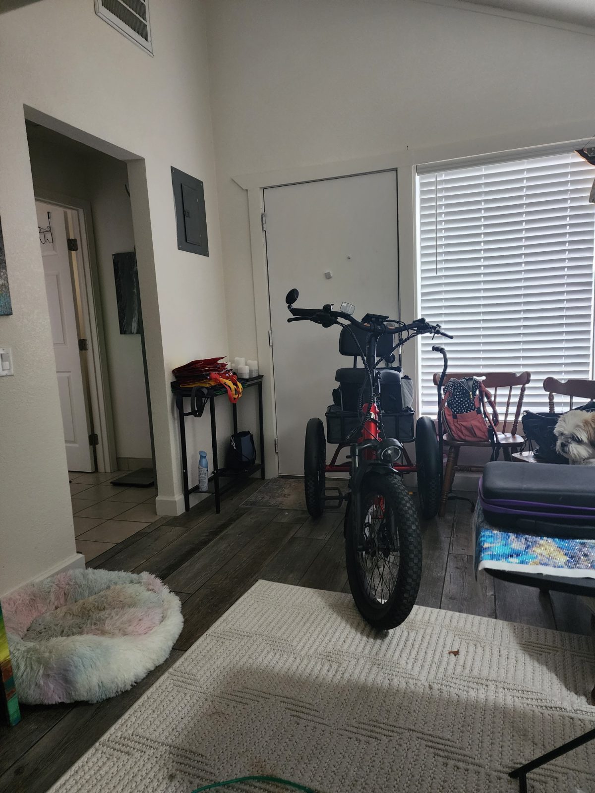 Velotric Electric Tricycle - Like New - 2025 - North Highlands, CA, photo 3 of 3