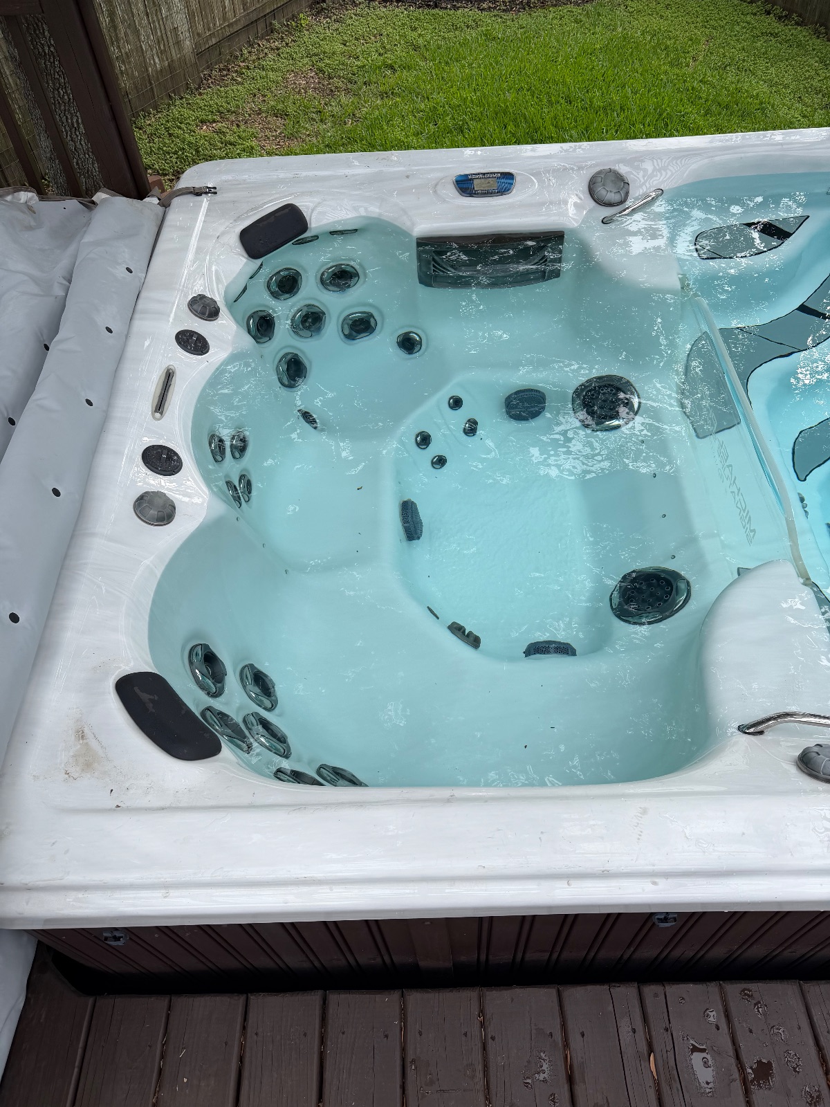 Michael Phelps Momentum Swim Spa - Good - Manvel, TX, photo 4 of 7