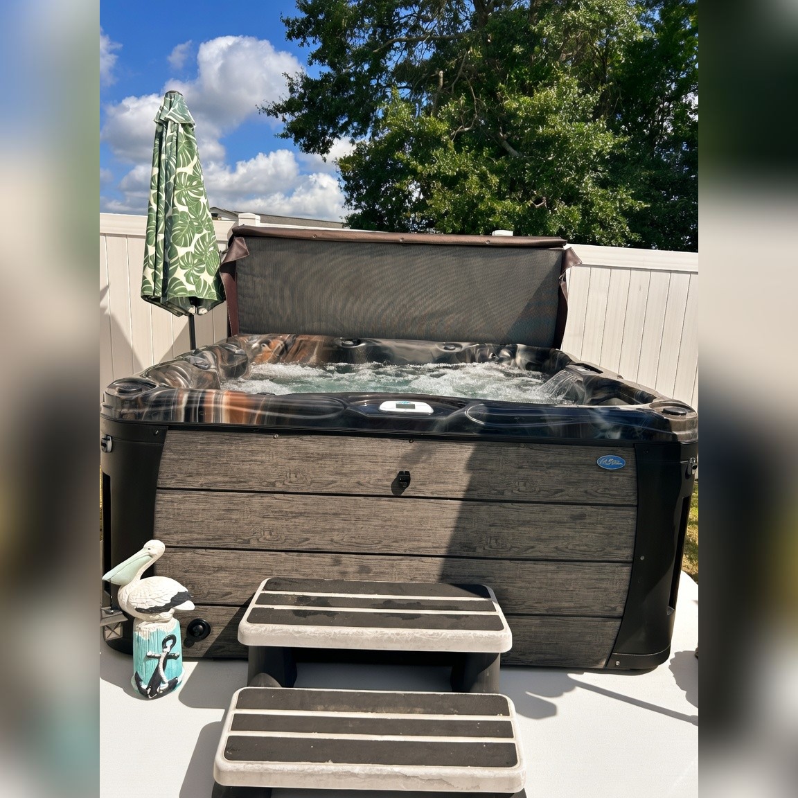 Cal Spa EC754DLX Spa For Sale (Orig Price 13K) - Excellent - 2021 - Clayton, NC