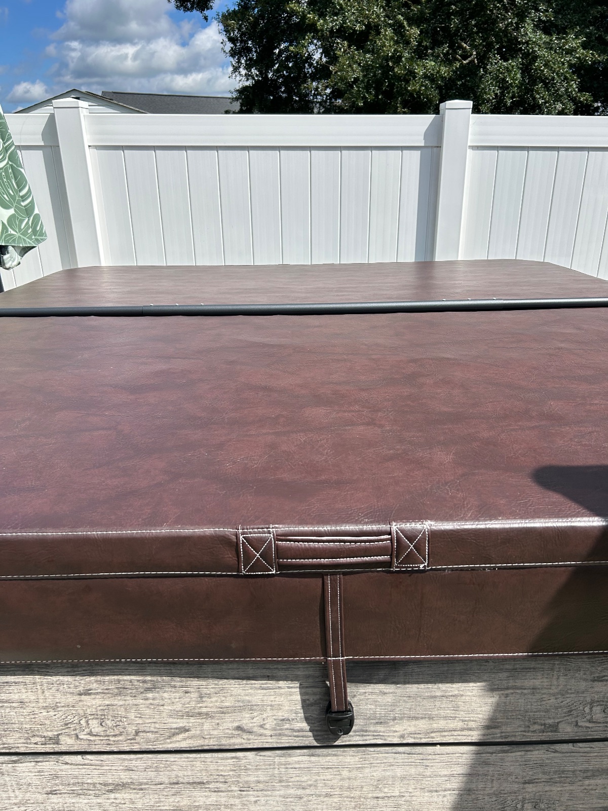 Cal Spa EC754DLX Spa For Sale (Orig Price 13K) - Excellent - 2021 - Clayton, NC, photo 3 of 6