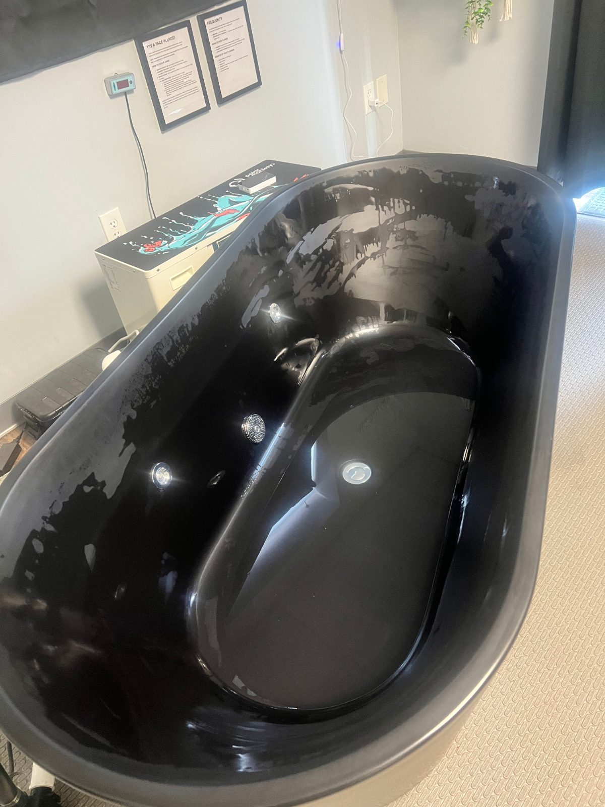 Polar Monkeys Brainpod 2.0 Cold Plunge with Chiller - Like New - McMurray, PA, photo 3 of 8