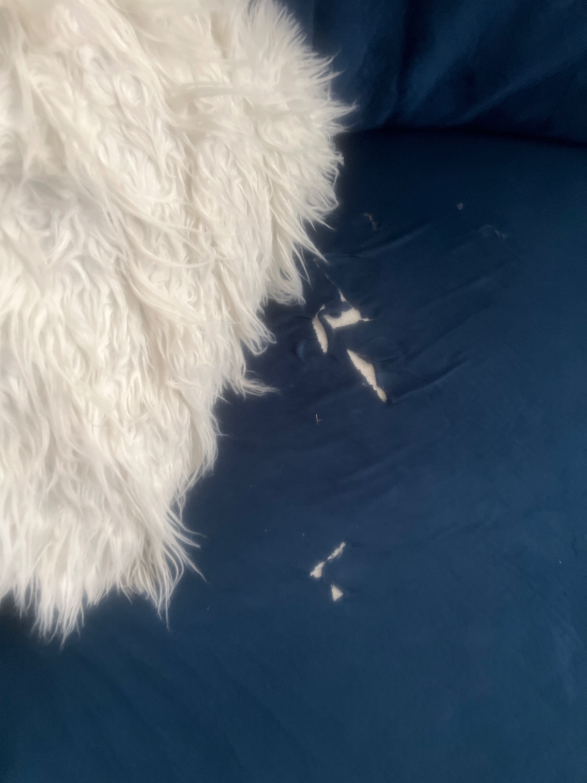 Blue Sectional Sofa, Heavily Worn with Multiple Tears - Good - 204 S Lincoln St, Poynette, WI, photo 2 of 5