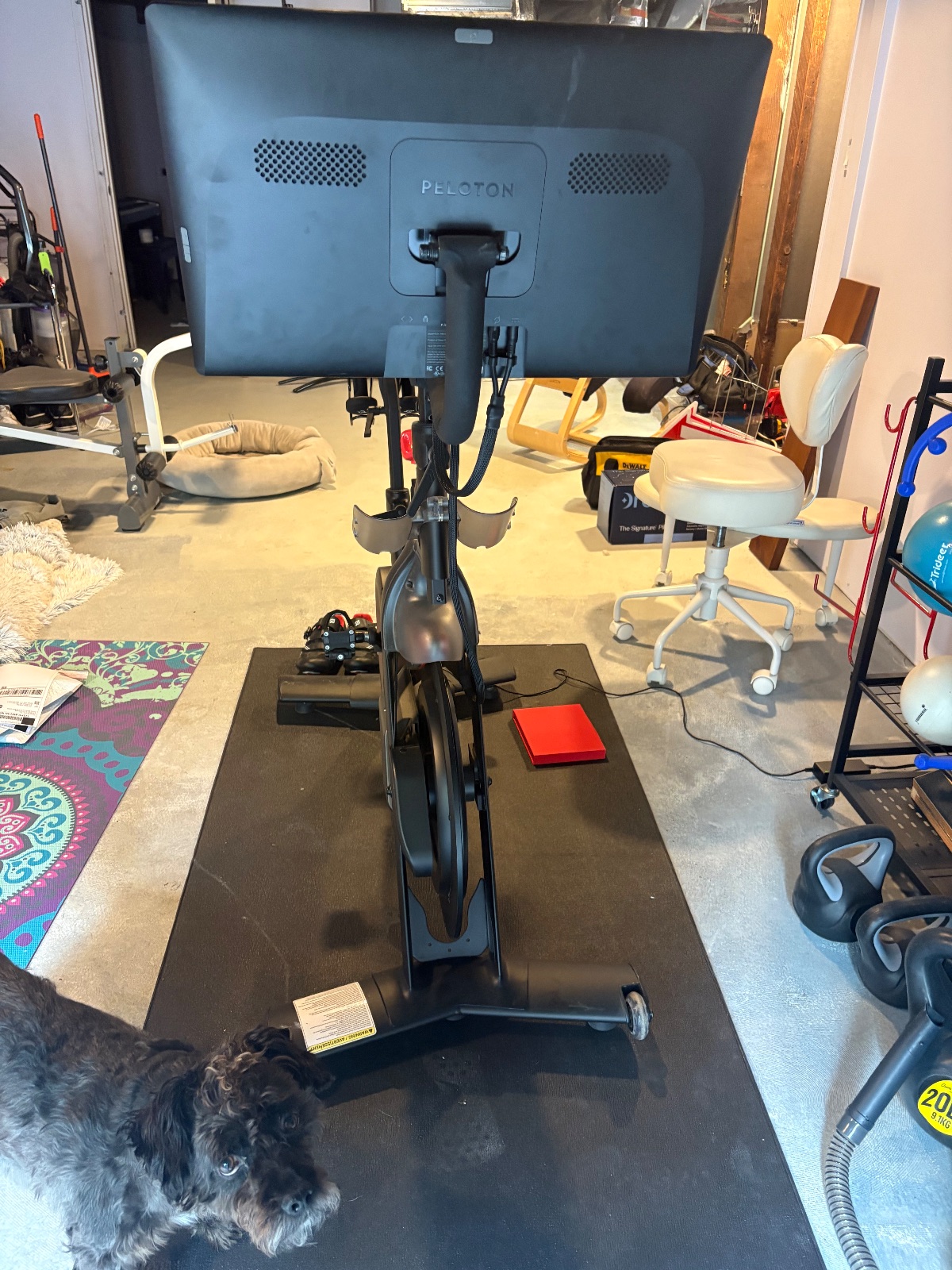 Peloton Bike, Includes Shoes Mat and Weights - Excellent – Beaverton, OR, photo 5 of 7