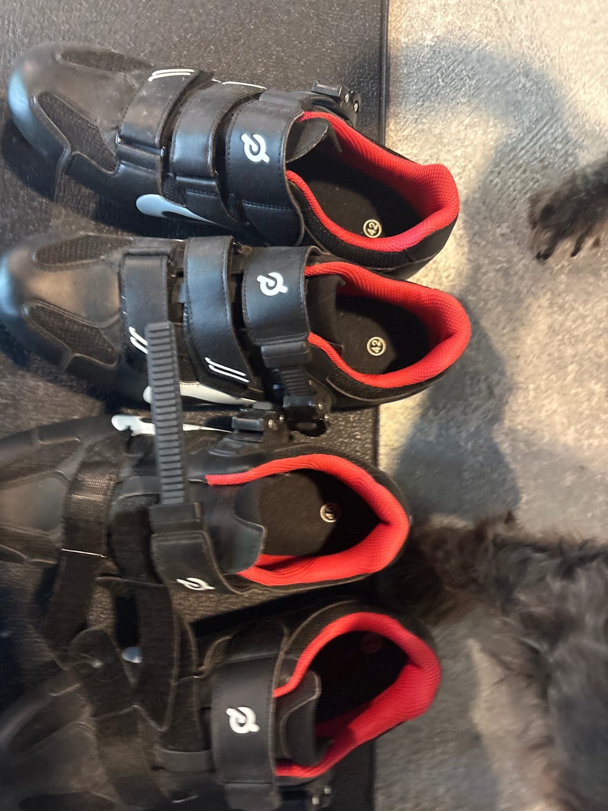Peloton Bike, Includes Shoes Mat and Weights - Excellent – Beaverton, OR, photo 7 of 7