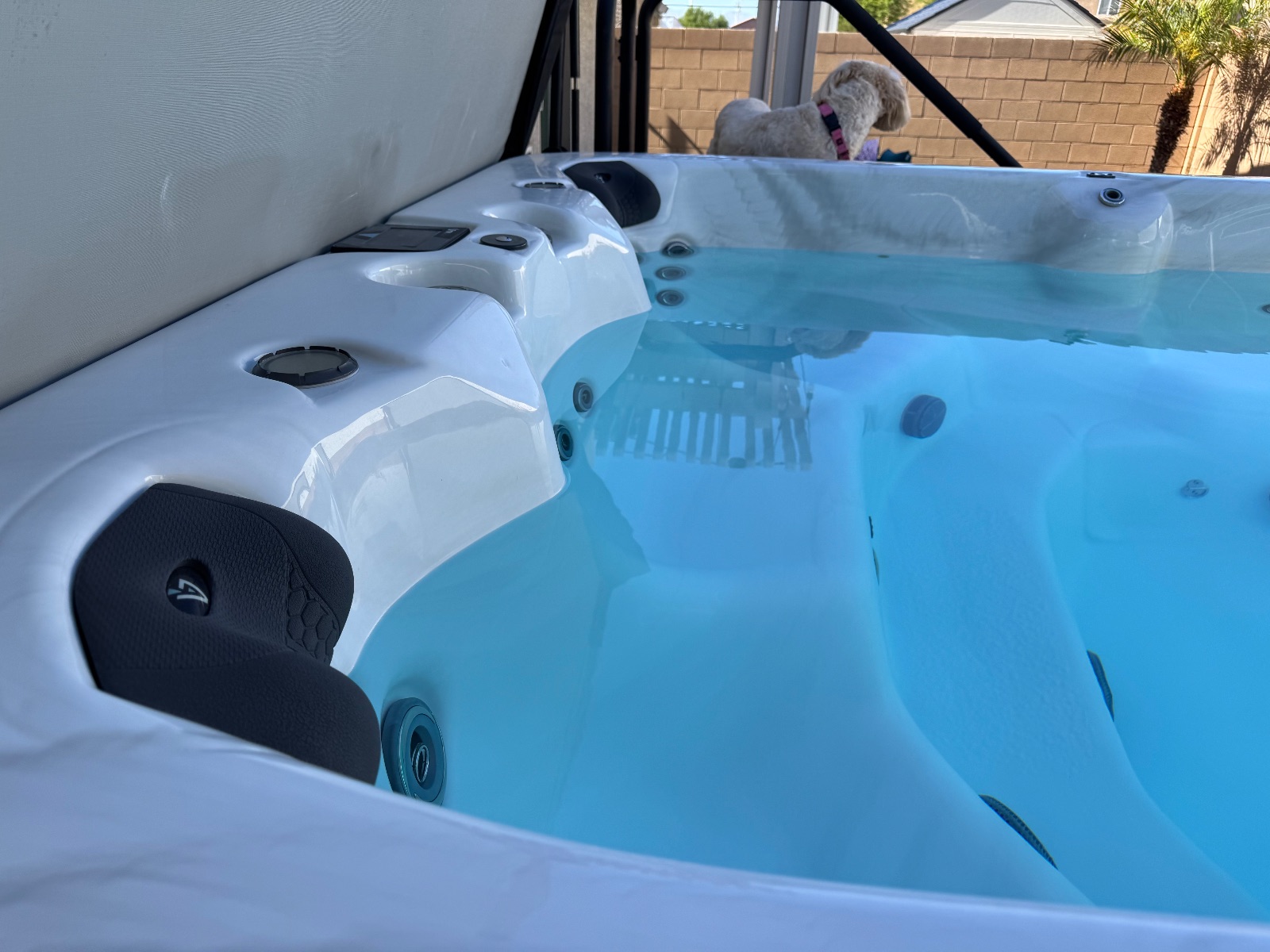 MaaxSpa VitaSpa Swim Spa XB4 - Good - Las Vegas, NV, photo 5 of 10