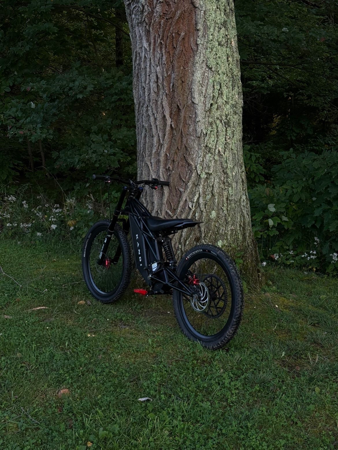 Kandi Class 3 E-Bike, 28 Mph Top Speed - Good – Bellwood, PA, photo 2 of 5