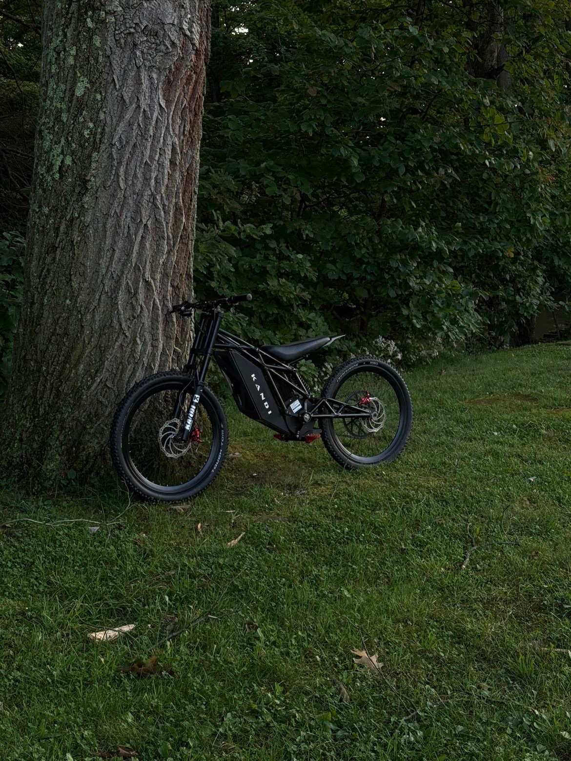 Kandi Class 3 E-Bike, 28 Mph Top Speed - Good – Bellwood, PA, photo 3 of 5