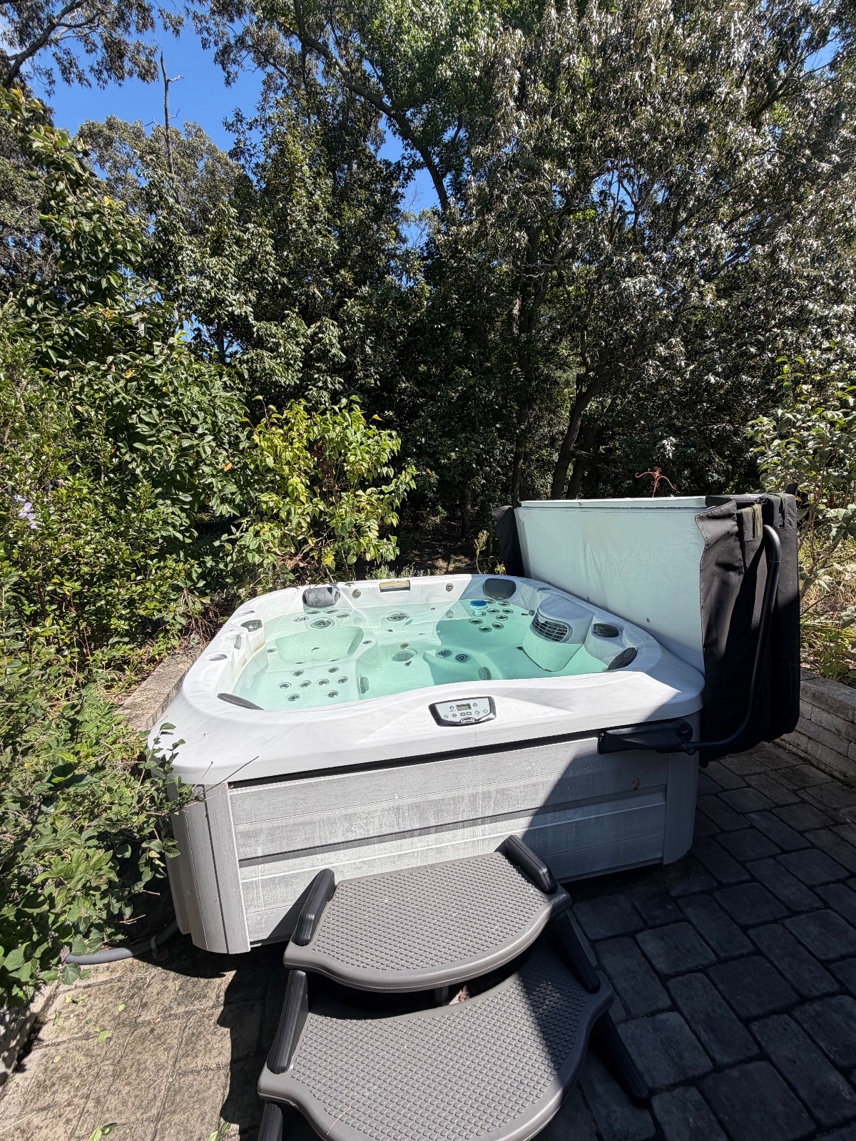 Jacuzzi Hot Tub - Excellent - Lewes, DE, photo 2 of 6