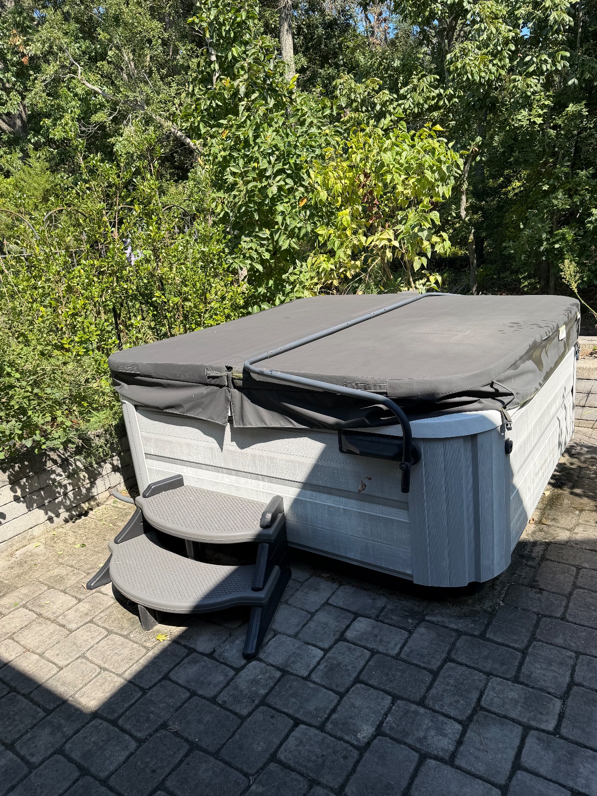 Jacuzzi Hot Tub - Excellent - Lewes, DE, photo 4 of 6