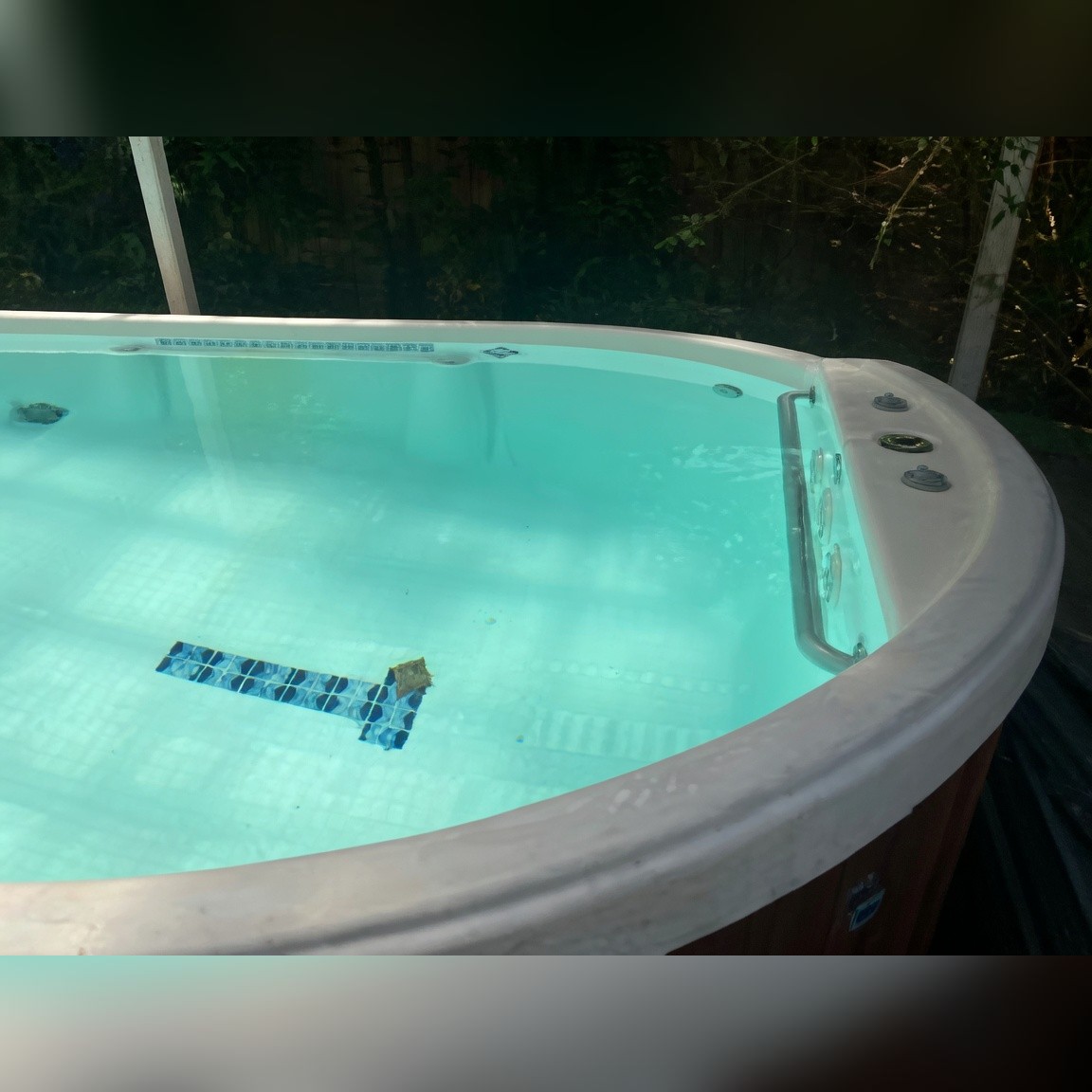 Dimension One Swim Spa - Good - Los Angeles, CA