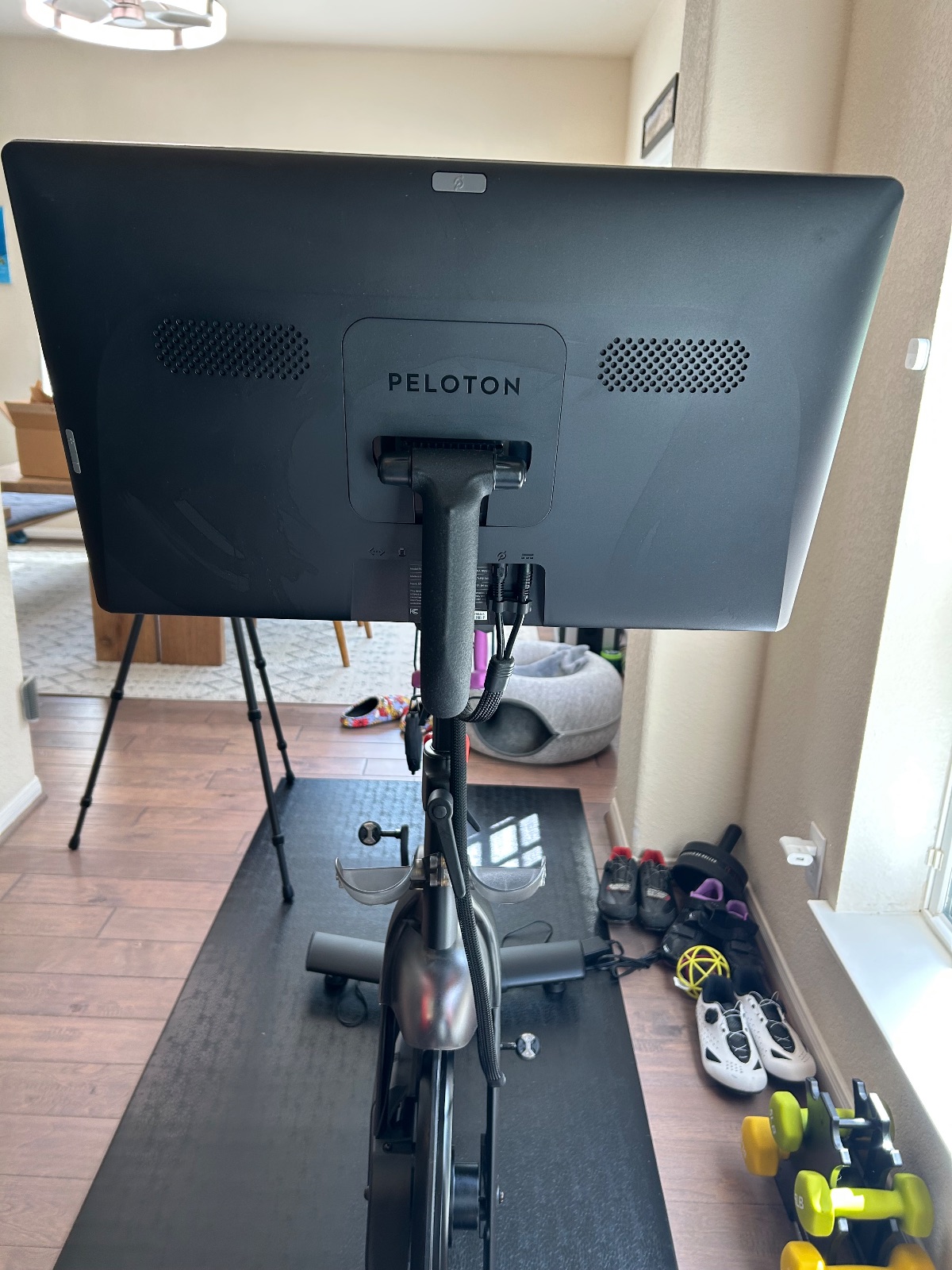 Peloton Bike, Over - 2018 – Pearland, TX, photo 4 of 6