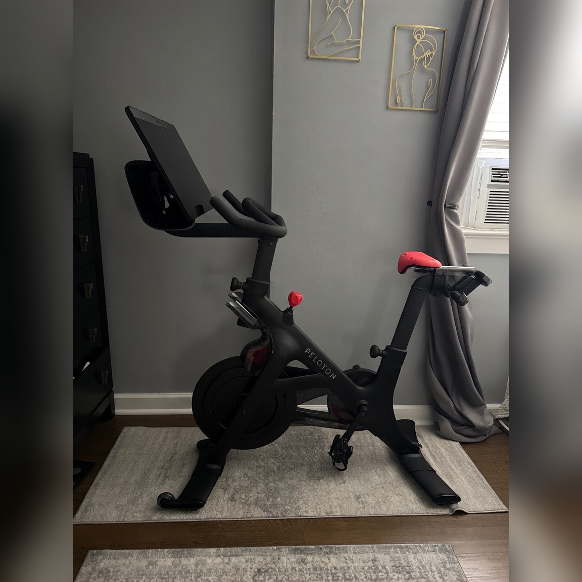 Peloton Bike+, Includes Shoes Weights - Excellent - 2023 - White Plains, NY