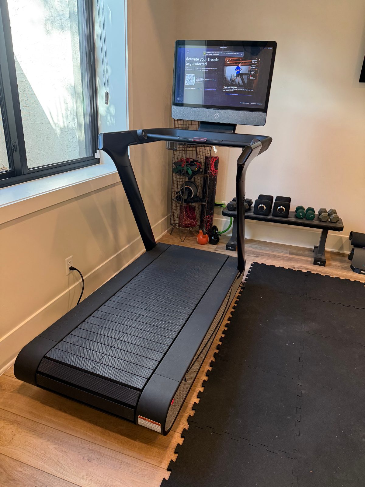 Peloton Tread+ - Excellent - 2020 - Timnath, CO, photo 3 of 6