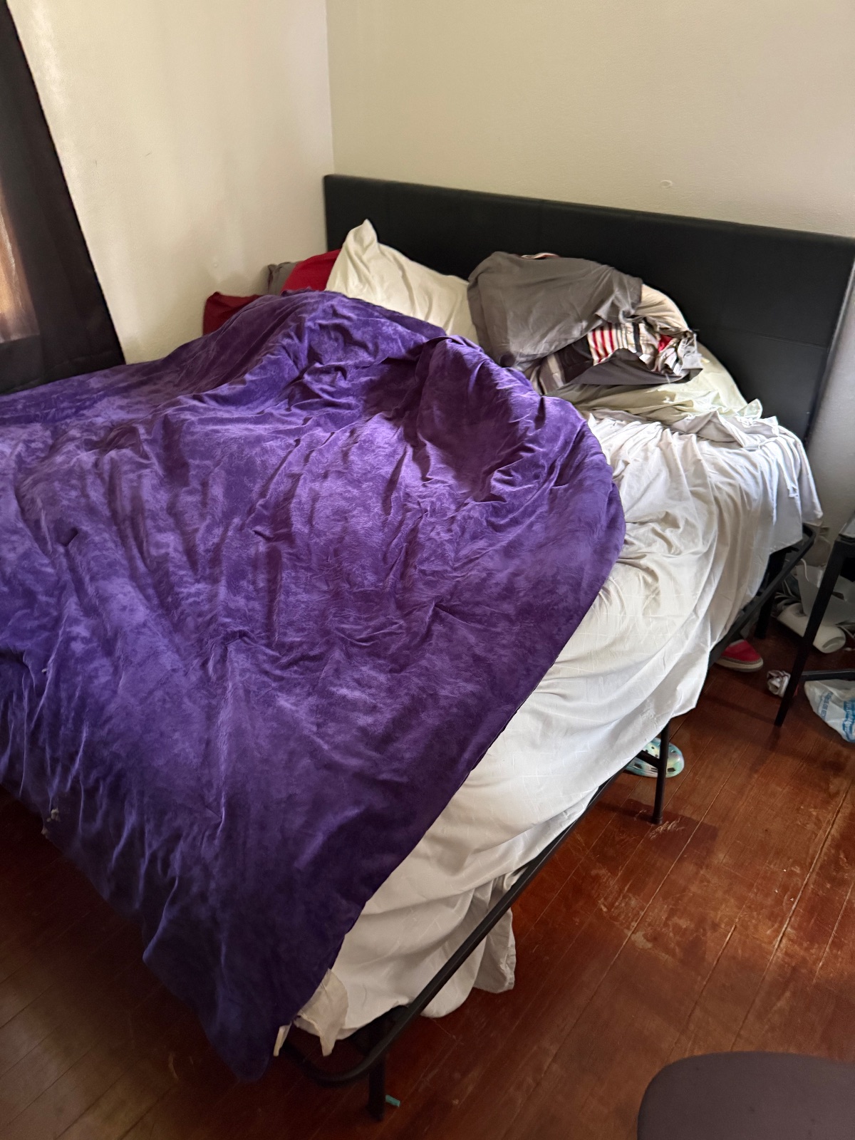 King Metal Bed Frame with Memory Foam Mattress - Fair – Eloise, FL, photo 7 of 8