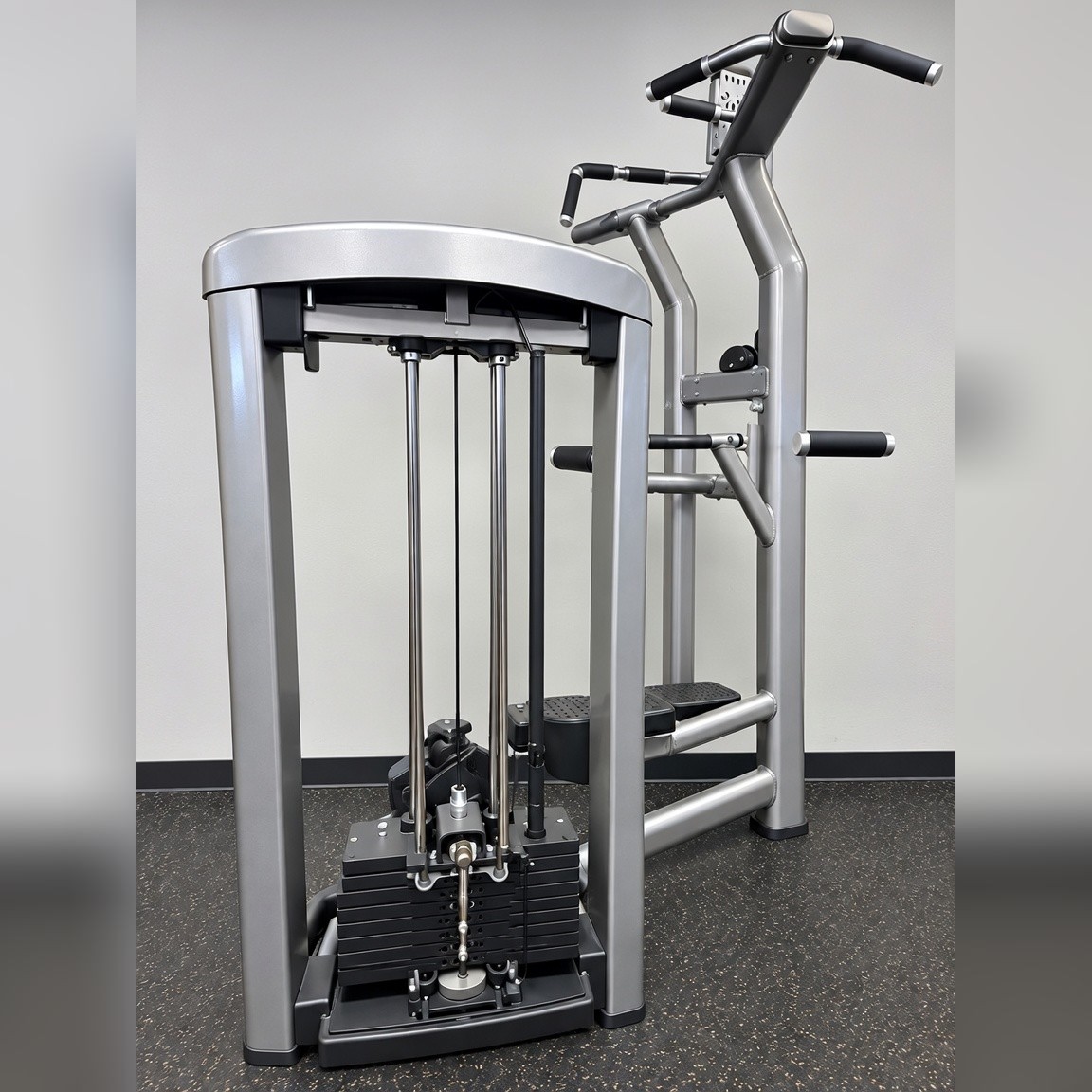 Life FItness Insignia Series Assist Dip Chin (SS-ADC) - Excellent - Genoa, NV