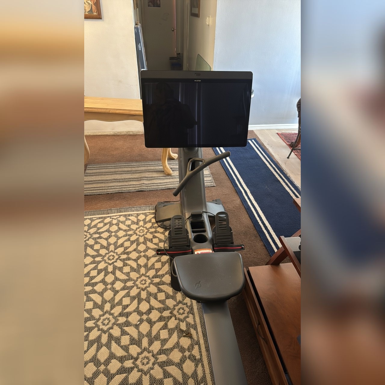 Peloton Row Machine - Excellent - Chula Vista, CA